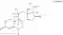 Fig. 06 - Oligomer-corticosteroid conjugates