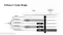 Fig. 02 - Methods of promoting hepatic regeneration