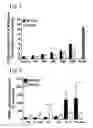 Fig. 07 - LONG CHAIN INULIN FOR STIMULATING AN IMMUNE RESPONSE