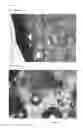 Fig. 11 - Powder compositions for generating cross-linked protein foams and methods of using thereof