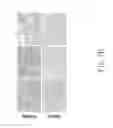 Fig. 06 - BIOMATERIALS DERIVED FROM TISSUE EXTRACELLULAR MATRIX