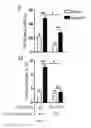 Fig. 07 - COMPOSITIONS AND METHODS FOR MODULATING TOLL LIKE RECEPTOR SIGNAL
