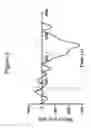 Fig. 09 - Innervation Of Engineered Structures