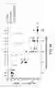 Fig. 09 - Methods and compositions for reducing vancomycin-resistant infection or colonization