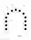 Fig. 02 - Hard Capsule Shell Compositions for the Treatment of Irritable Bowel Syndrome