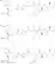 Fig. 09 - CONJUGATES FOR TREATING DISEASES CAUSED BY PSMA EXPRESSING CELLS