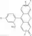 Fig. 40 - CONJUGATES FOR TREATING DISEASES CAUSED BY PSMA EXPRESSING CELLS