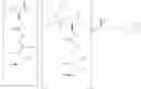 Fig. 80 - CONJUGATES FOR TREATING DISEASES CAUSED BY PSMA EXPRESSING CELLS