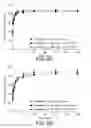 Fig. 07 - IMMEDIATE RELEASE CLINDAMYCIN DELIVERY COMPOSITION AND FORMULATION