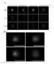 Fig. 06 - Nucleic acid products and methods of administration thereof