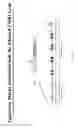 Fig. 02 - Compositions and methods for modulating FMR1 expression