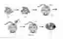 Fig. 19 - THERAPEUTIC METHODS AND COMPOSITIONS FOR SOLID DELIVERY