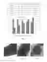 Fig. 08 - Coated plant virus imaging agents