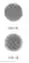 Fig. 02 - DAB-4 LINKED NITROXIDE CITRATE, USEFUL AS MRI CONTRAST AGENT