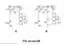 Fig. 07 - In situ solidifying complex coacervates and methods of making and using thereof