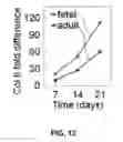 Fig. 09 - Compositions and layered structures formed therewith for regeneration of articular cartilage