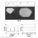Fig. 07 - Decellularized biomaterial and method for formation