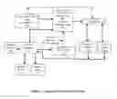 Fig. 02 - METHOD OF USING A LIGHT-BASED DRUG DISPENSING SYSTEM TO SIMULATE THE OPERATION OF A HUMAN PANCREAS