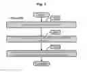 Fig. 06 - Selective disruption of neoplastic cells via resonant harmonic excitation