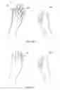Fig. 09 - TRAINING DEVICE USABLE FOR REHABILITATION AND COMPUTER PROGRAM FOR TRAINING DEVICE USABLE FOR REHABILITATION