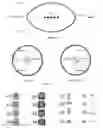Fig. 02 - Systems and methods for tracking sports balls configured with electronic components