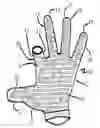 Fig. 01 - Golf gloves