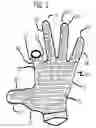 Fig. 02 - Golf gloves