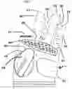 Fig. 04 - Golf gloves