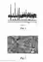 Fig. 02 - Metal-organic framework filter and preparation method thereof