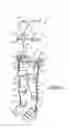 Fig. 02 - LOAD-BEARING EXOSKELETON