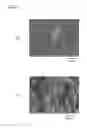 Fig. 08 - Synthetic polymer film provided with surface having sterilizing effect, method for manufacturing synthetic polymer film and sterilization method using surface of synthetic polymer film