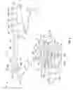Fig. 02 - Silicone-containing roof assemblies and methods for production and use