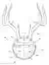 Fig. 01 - Antler wall mount assembly