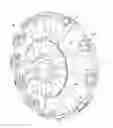 Fig. 01 - Variable diameter wheel