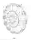 Fig. 02 - Variable diameter wheel