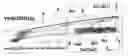 Fig. 01 - Sunroof device