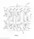 Fig. 02 - Transmission system for vehicles