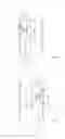 Fig. 03 - VEHICLE COMPRISING TURN SIGNAL LIGHTS, AND METHOD FOR SIGNALING A DRIVING DIRECTION TO FOLLOWING VEHICLES