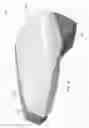 Fig. 39 - Exterior rearview mirror assembly