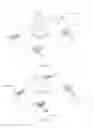 Fig. 02 - Combinatory sensor apparatus