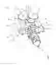 Fig. 09 - Electromechanical brake booster