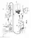 Fig. 02 - HYGIENIC CASE FOR PROTECTING A MAT FROM CONTAMINANTS AND METHOD OF USING SAME