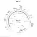 Fig. 09 - Fermentation process using yeast cells having disrupted pathway from dihydroxyacetone phosphate to glycerol