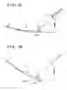 Fig. 49 - Sheet conveyance apparatus