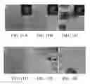 Fig. 15 - Methods for synthesizing carbon nanocages
