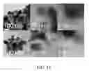Fig. 24 - Methods for synthesizing carbon nanocages