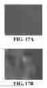 Fig. 11 - Controlled microwave assisted synthesis of functionalized silica nanoparticles