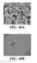 Fig. 12 - Controlled microwave assisted synthesis of functionalized silica nanoparticles