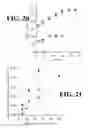 Fig. 14 - Controlled microwave assisted synthesis of functionalized silica nanoparticles