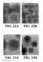 Fig. 15 - Controlled microwave assisted synthesis of functionalized silica nanoparticles